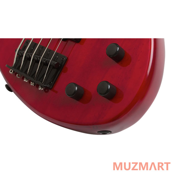 Epiphone Toby Deluxe-V Bass (gloss) TR Бас-гитара 5-струнная