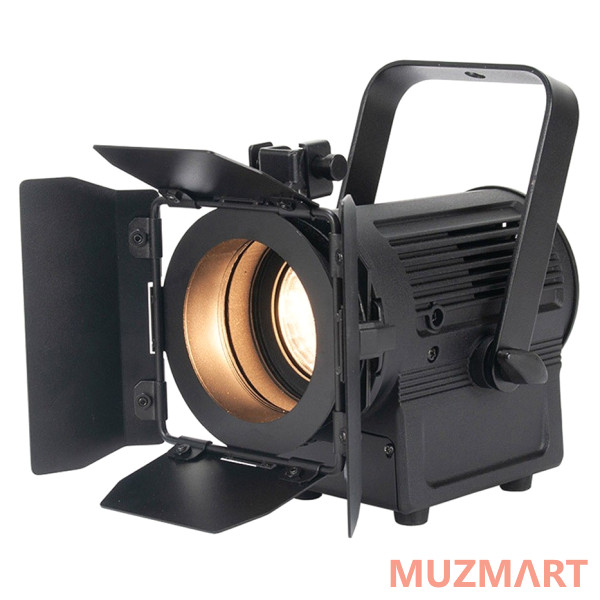 American DJ Encore FR20 DTW Театральный прожектор с линзой Френеля