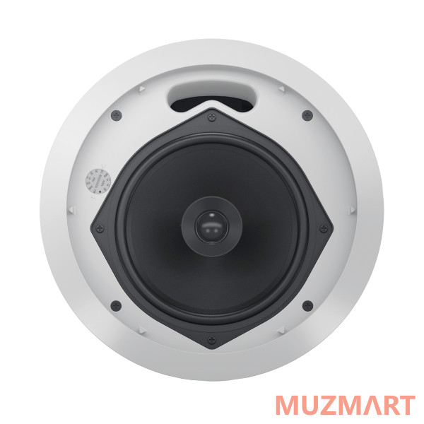Tannoy CVS 601 Потолочный громкоговоритель (белый)