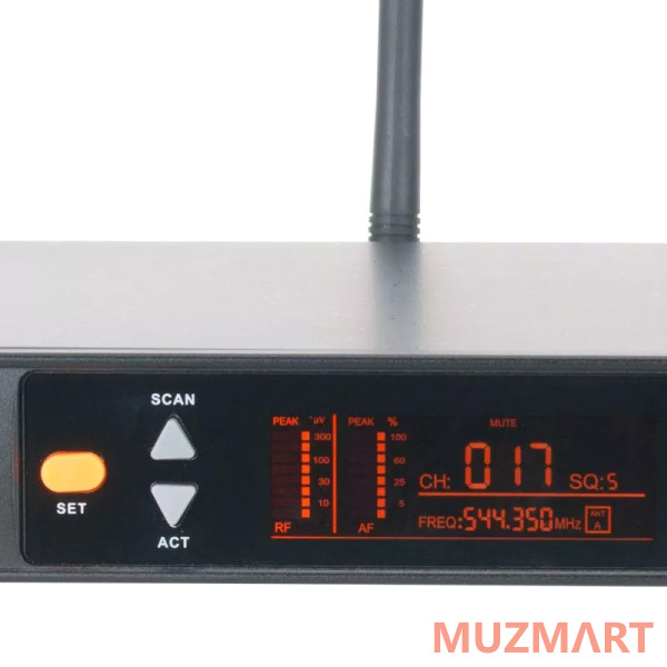 American Audio WM-219 2-х канальная беспроводная микрофонная