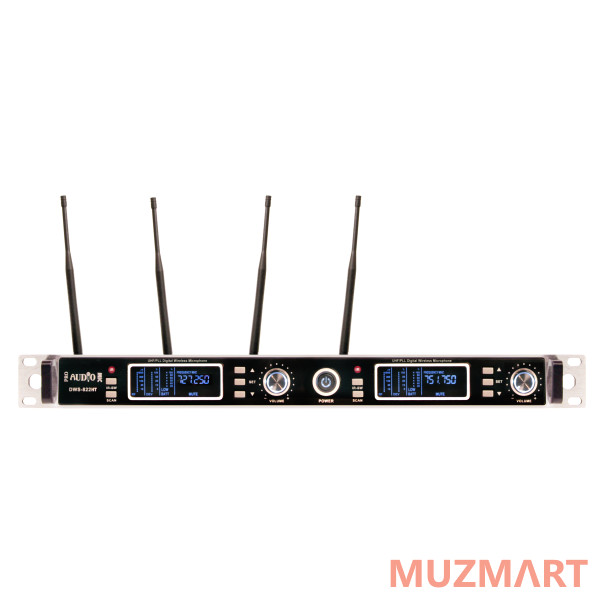 Proaudio DWS-822PT Радиосистема