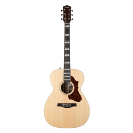 Godin Fairmount Concert Hall LTD Rosewood HG EQ Электроакустическая гитара Concert Hall