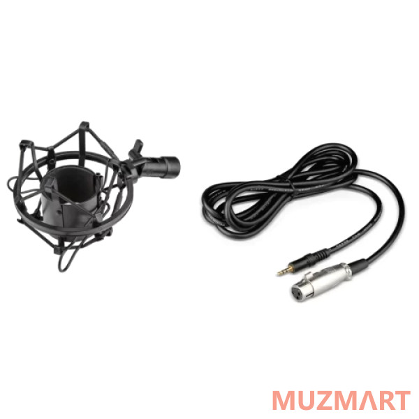 Dreamsound CU-87P Студийный конденсаторный микрофон