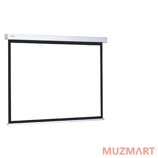 Projecta 10200033 Proscreen Datalux Проекционный экран 240x240