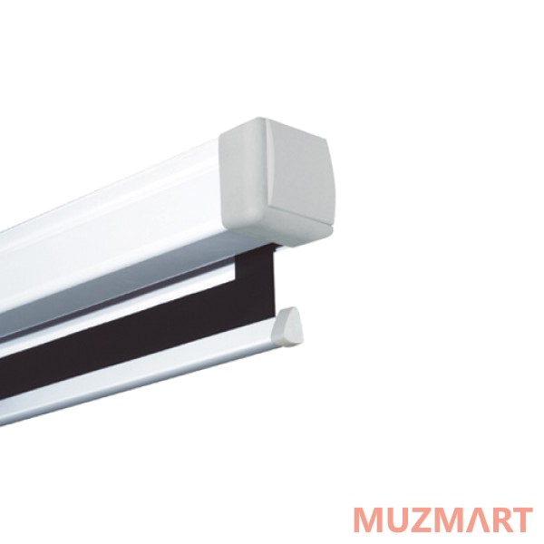 Projecta 10200033 Proscreen Datalux Проекционный экран 240x240