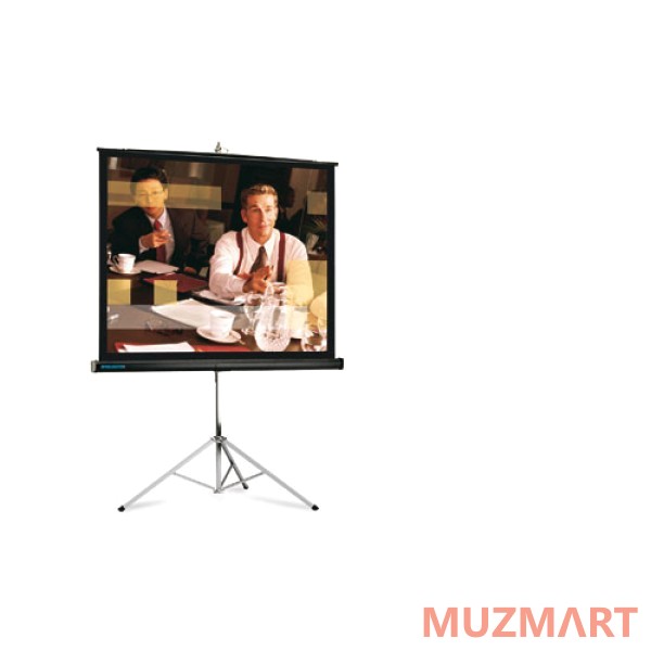 Projecta 10430035 Picture King Matte White Проекционный экран 162х213