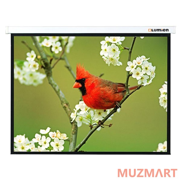 Lumien Master Picture (LMP-100106) Matte White Fiberglass Проекционный экран 244х244