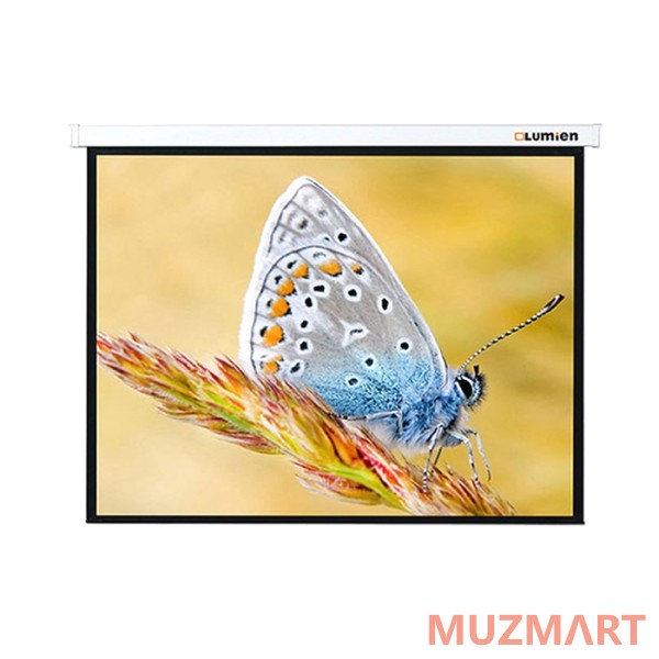 Lumien LMC-100111 Master Control Matte White Fiberglass Проекционный экран 274x366