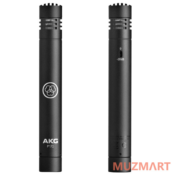 AKG P170 Кардиоидный микрофон