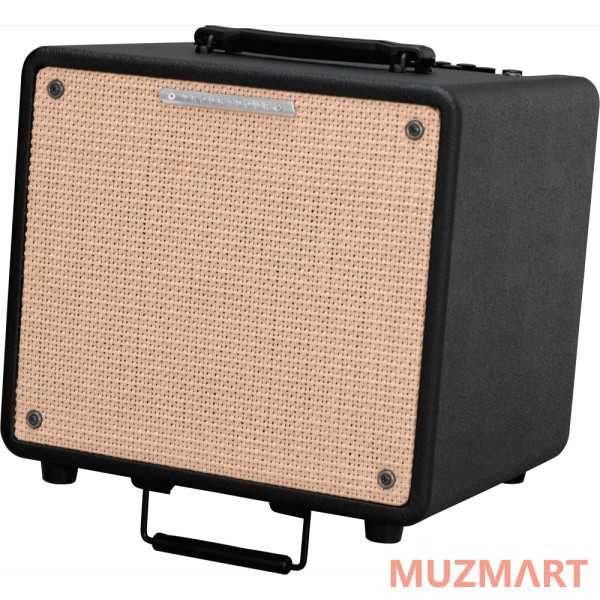 Ibanez T80N-U TROUBADOUR ACOUSTIC COMBO Комбоусилитель для акустической гитары