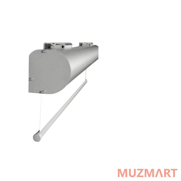 Projecta Master Electrol (10130230) Проекционный экран с электроприводом 300x400 см