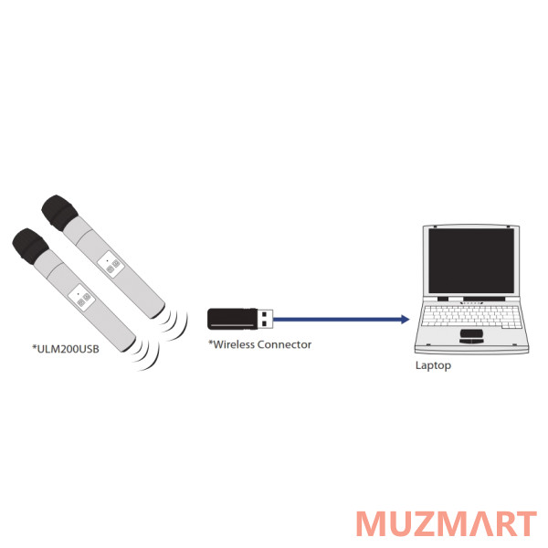 Behringer ULM202USB Радиосистема цифровая с двумя ручными передатчиками