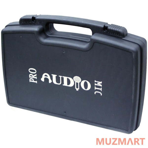 Proaudio DWS-204HT Радиосистема вокальная