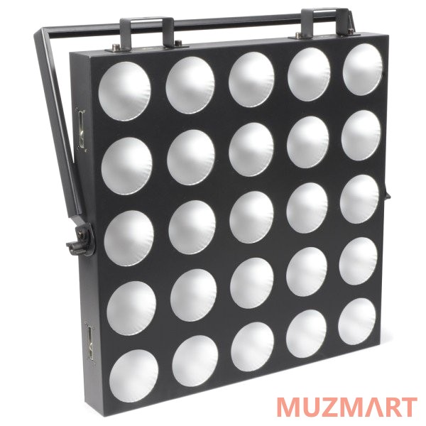 Ross Matrix Blinder 25х10W Светодиодная панель - блиндер
