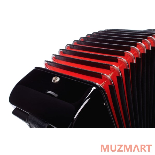 Hohner The New Bravo III 120 (A16821) Black Аккордеон 4/4