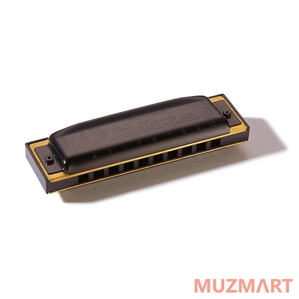 Hohner Pro Harp 562/20 MS F (M564066) Губная гармоника